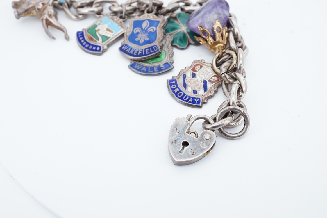 A small group of sterling, white metal and and other jewellery, including a charm bracelet, frog brooch, etc.